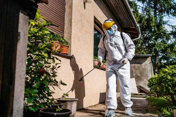 Best Ant Control Services  in Clearlake Oaks, CA