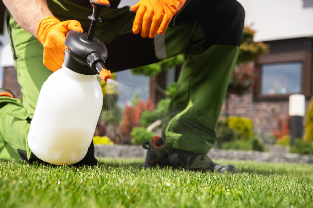 Best Commercial Pest Control Services  in Clearlake Oaks, CA