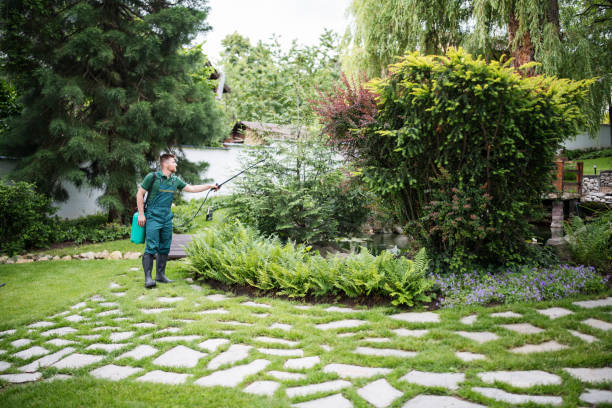 Best Rodent Control Near Me  in Clearlake Oaks, CA