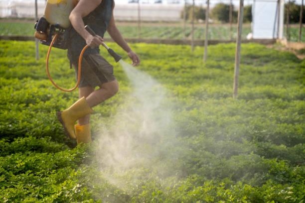  Clearlake Oaks, CA Pest Control Pros