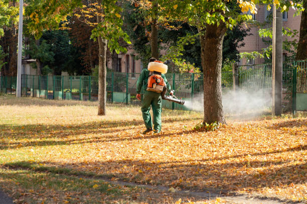 Clearlake Oaks, CA Pest Control Company