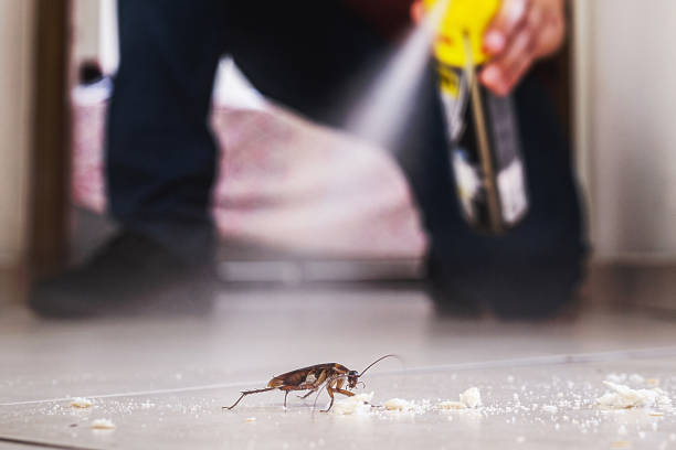 Best Cockroach Control Services  in Clearlake Oaks, CA