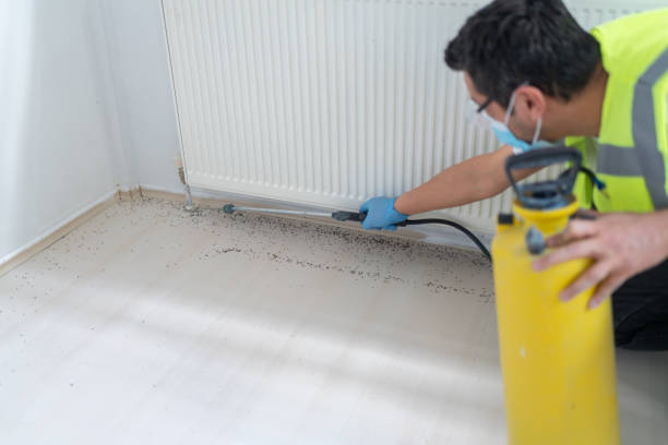 Best Flea Control Services  in Clearlake Oaks, CA