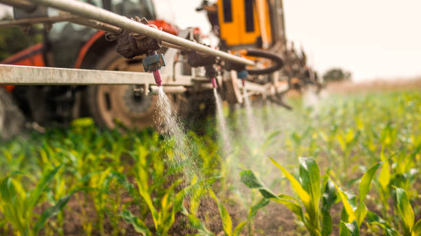 Best Mosquito Control Services  in Clearlake Oaks, CA